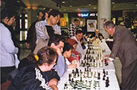 Roman Pelts 30 board simultaneous exhibition, Toronto 2001.
